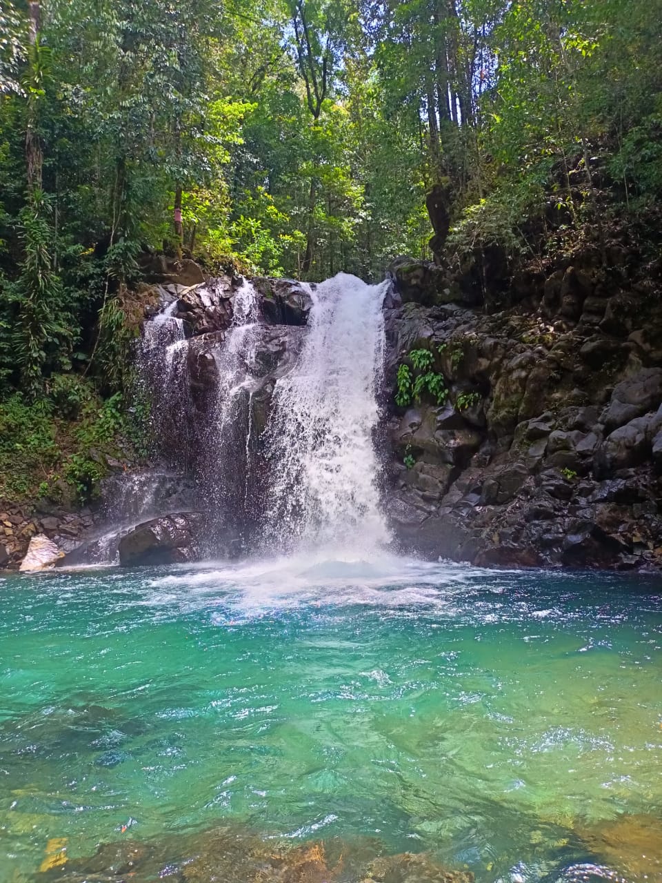 Ditemukan Spot Wisata Mistis Nan Eksotis di Hutan Wawonii, Bagaikan Gadis ‘Perawan’