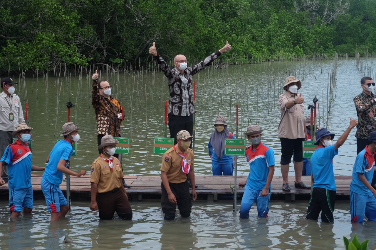 Kementerian LHK Laksanakan Program Rehabilitasi Mangrove di Kendari