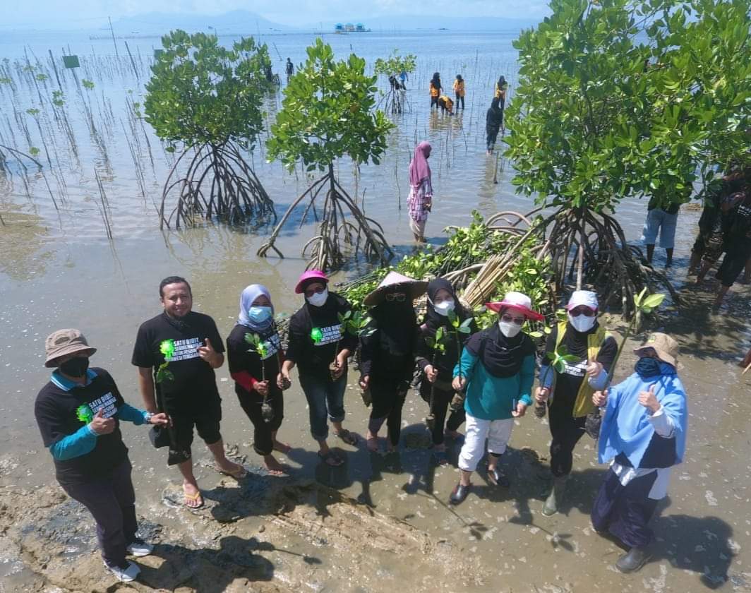 FHIL UHO Gelar Aksi Tanam Mangrove di Soropia