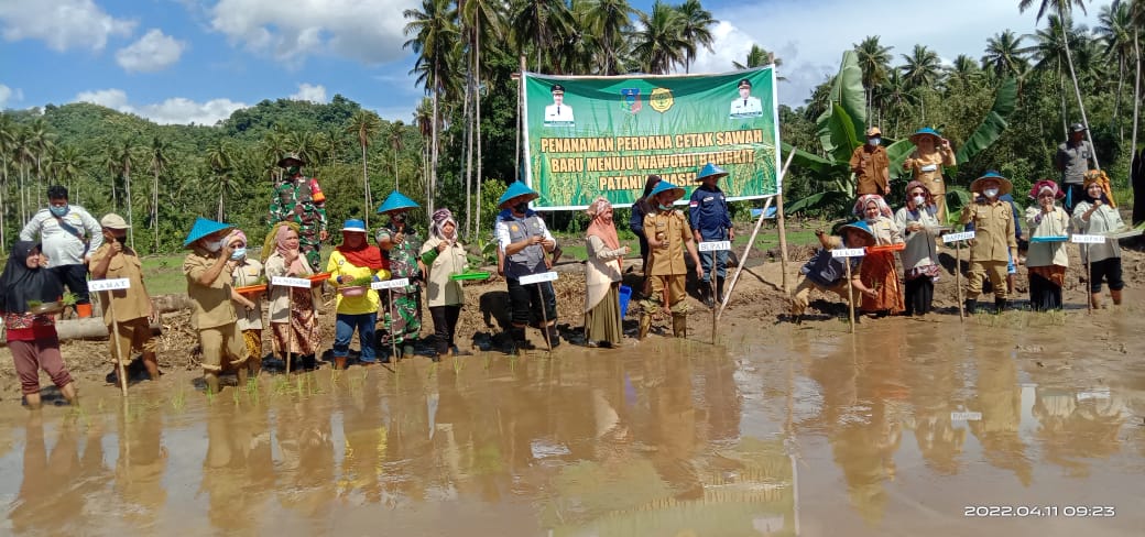 Selain Berikan Bantuan Bibit, Bupati Konkep Pimpin Penanaman Perdana Padi Sawah di Lansilowo Raya