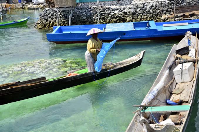 Potensi dan Arah Kebijakan Sektor Perikanan Wakatobi