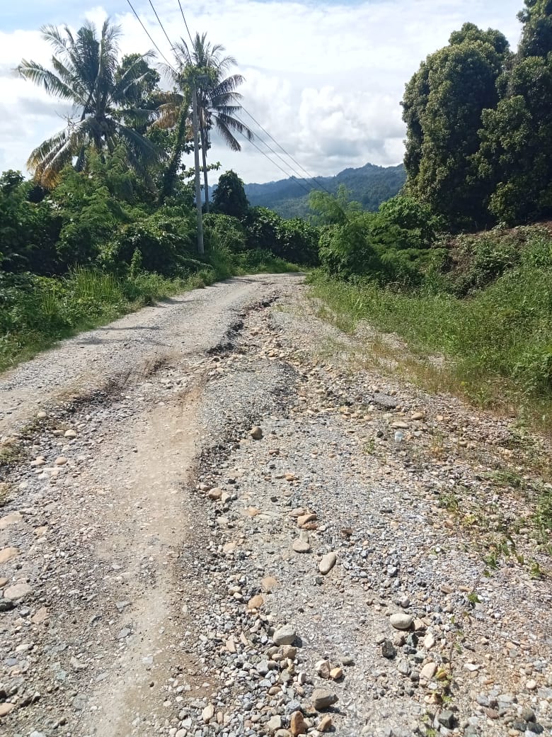 Tak Kunjung Dapat Perhatian Pemprov Sultra, Masyarakat Kolut Inisiatif Perbaiki Sendiri Jalan Rusak